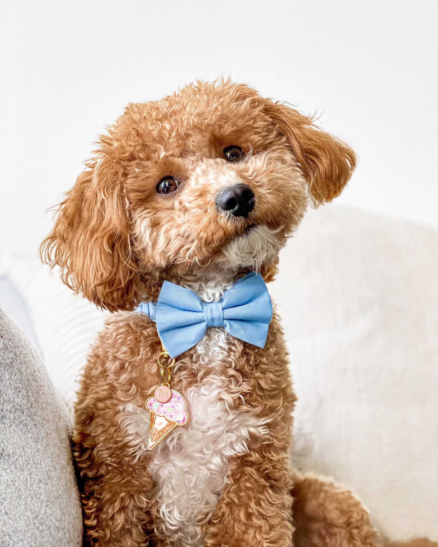 Cotton Bow Tie - Baby Blue