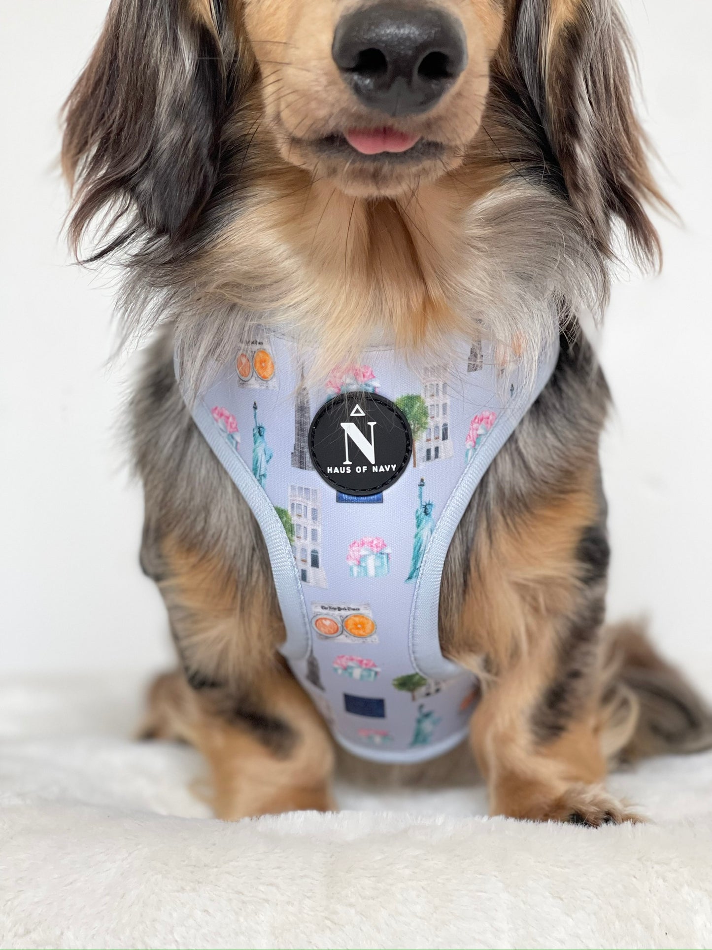 Adjustable Harness - The New Yorker