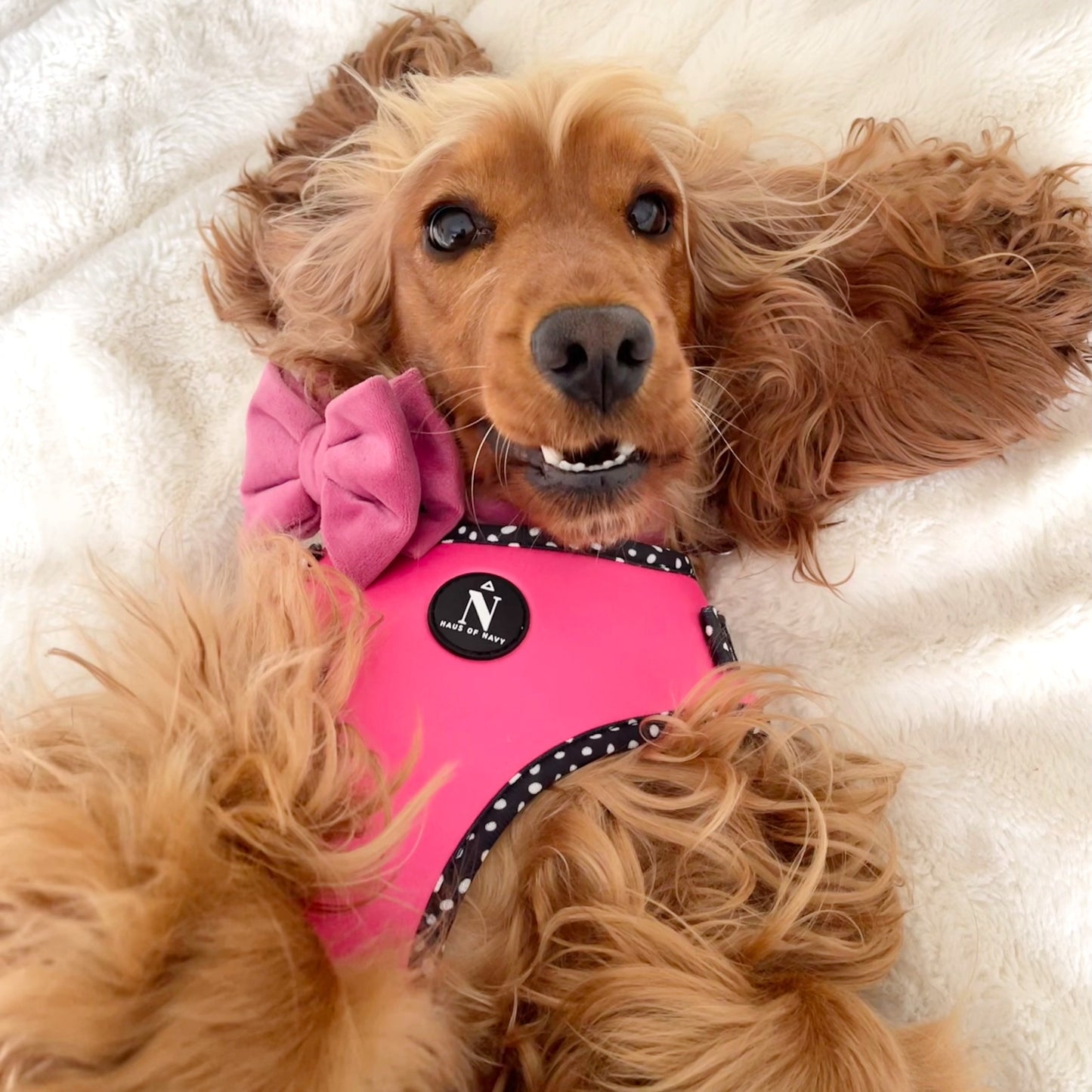Velvet Bow Tie - Fuchsia Fusion