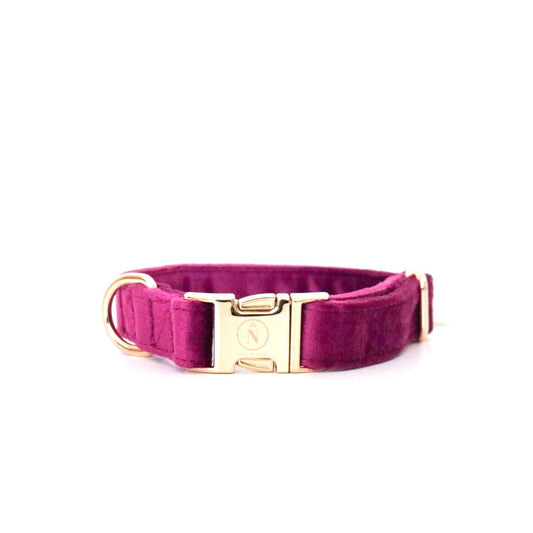 Velvet Collar - Amethyst