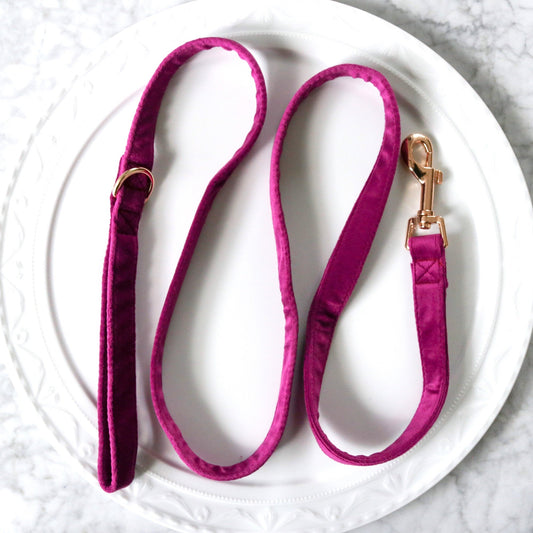 Velvet Leash - Amethyst