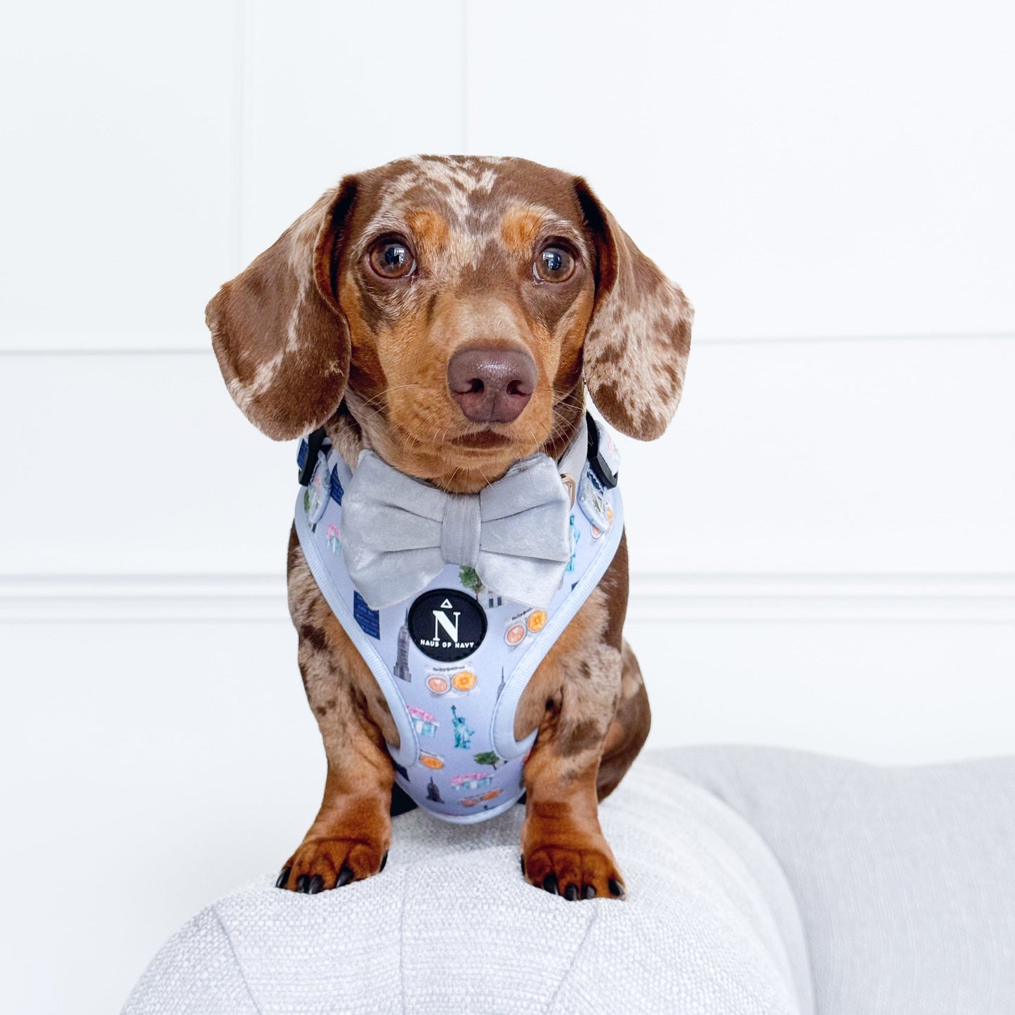 Adjustable Harness - The New Yorker