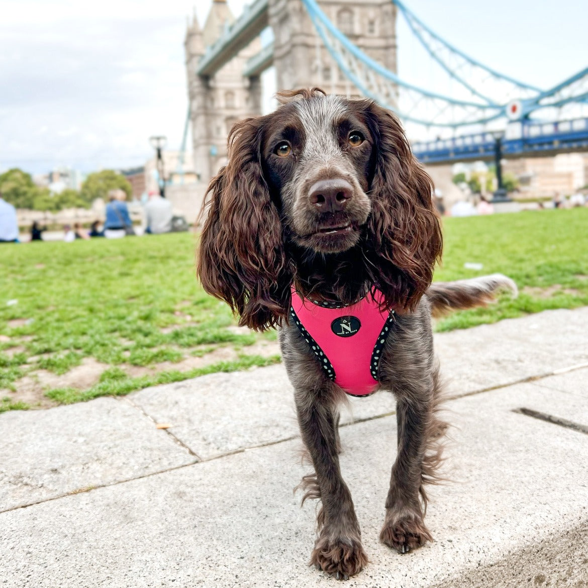 Adjustable Harness - Speckled Hot Pink