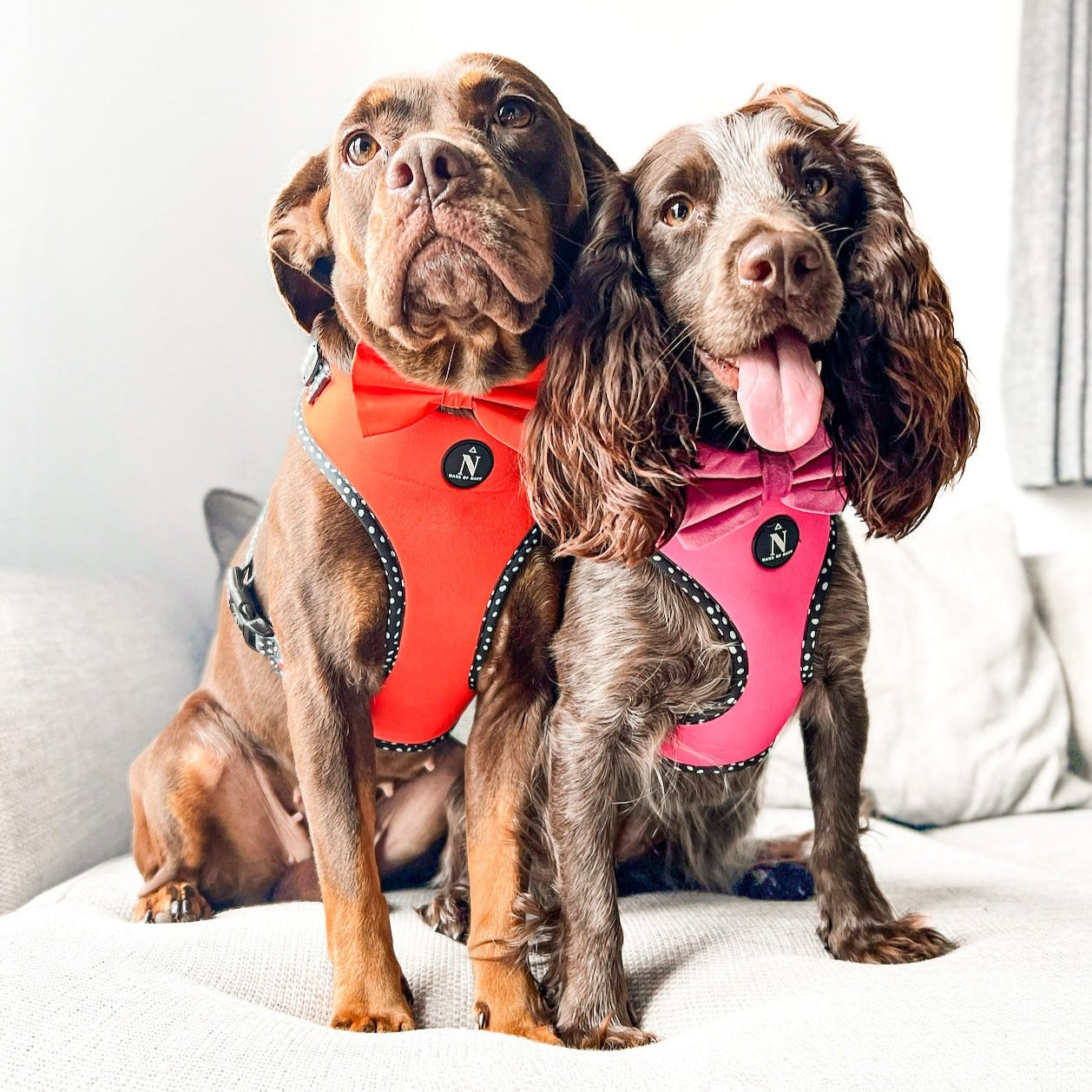 Adjustable Harness - Speckled Hot Pink