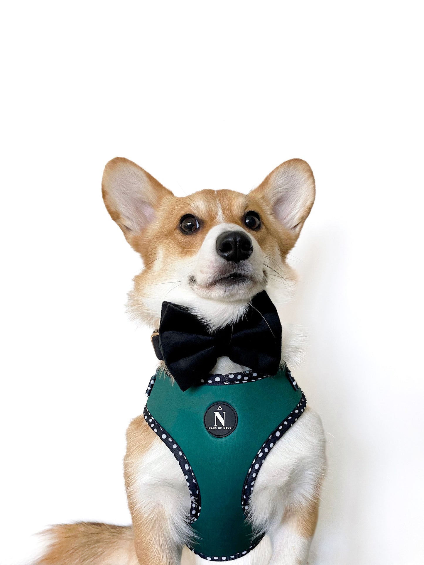 Velvet Bow Tie - Black Diamond