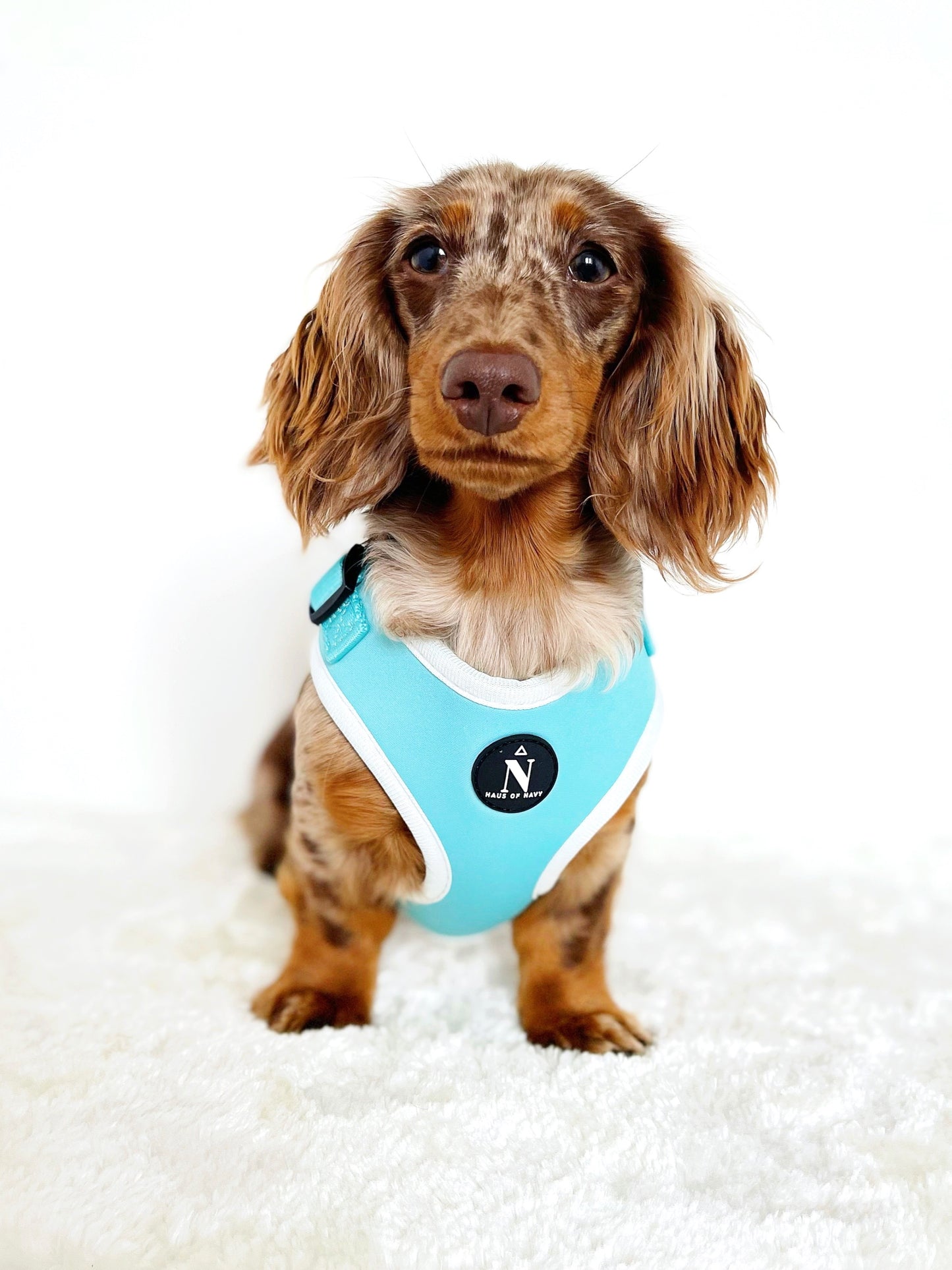 Adjustable Harness - Tiffany
