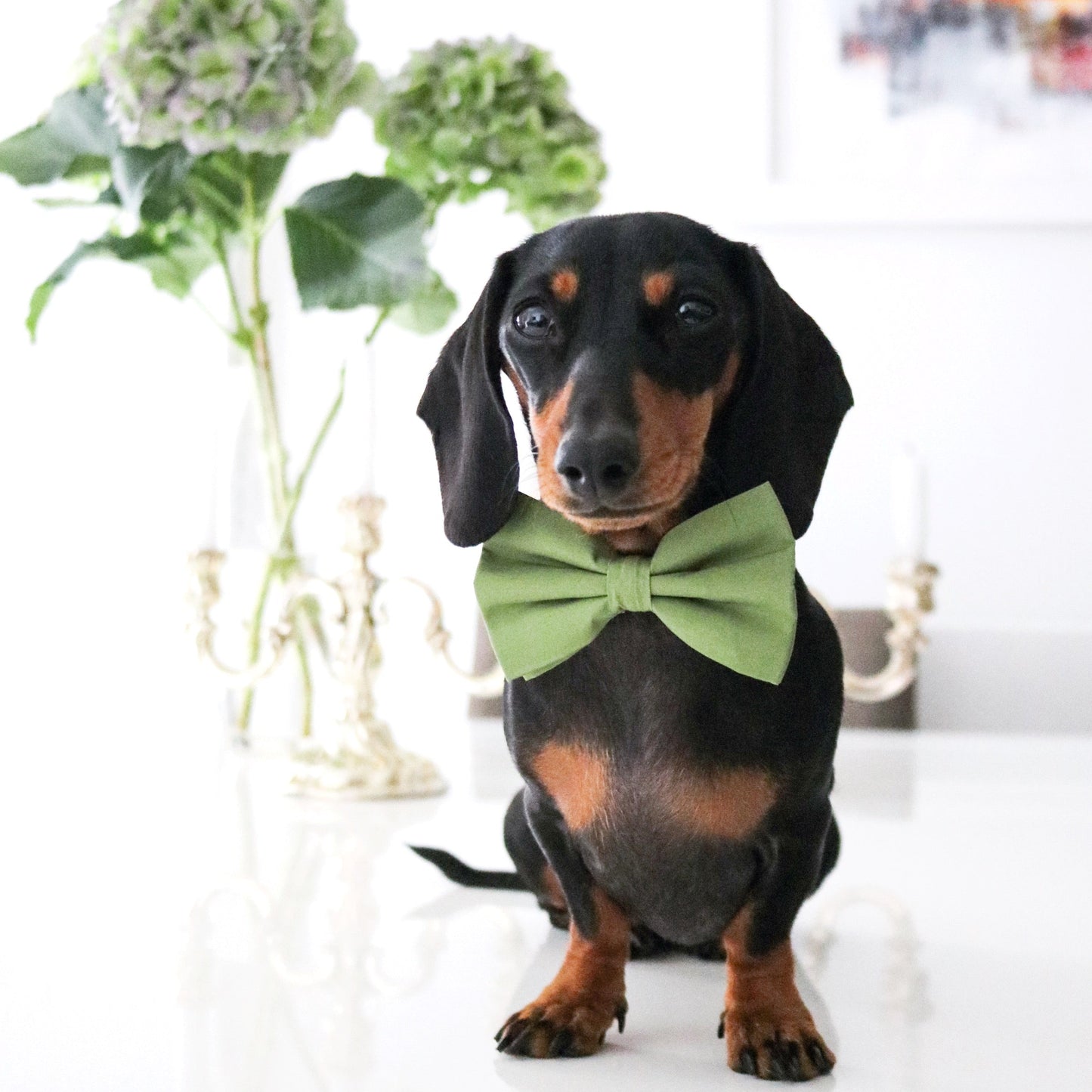 Cotton Bow Tie - Dirty Martini