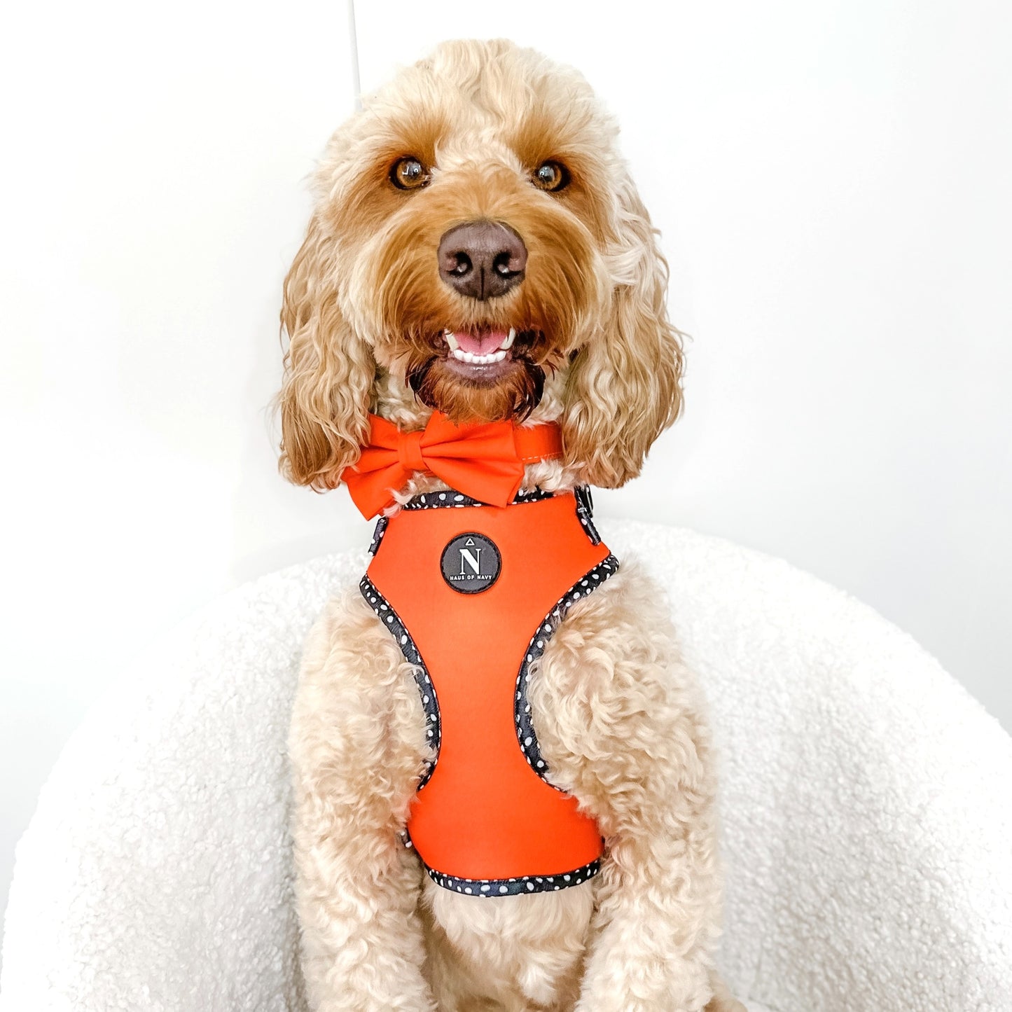 Adjustable Harness - Speckled Orange