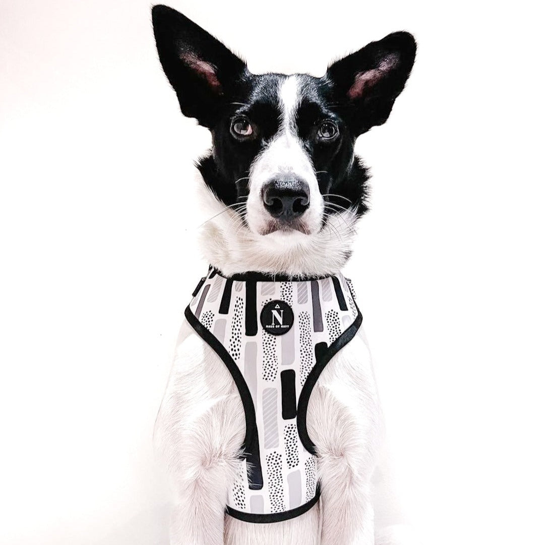 Adjustable Harness - The Modernist