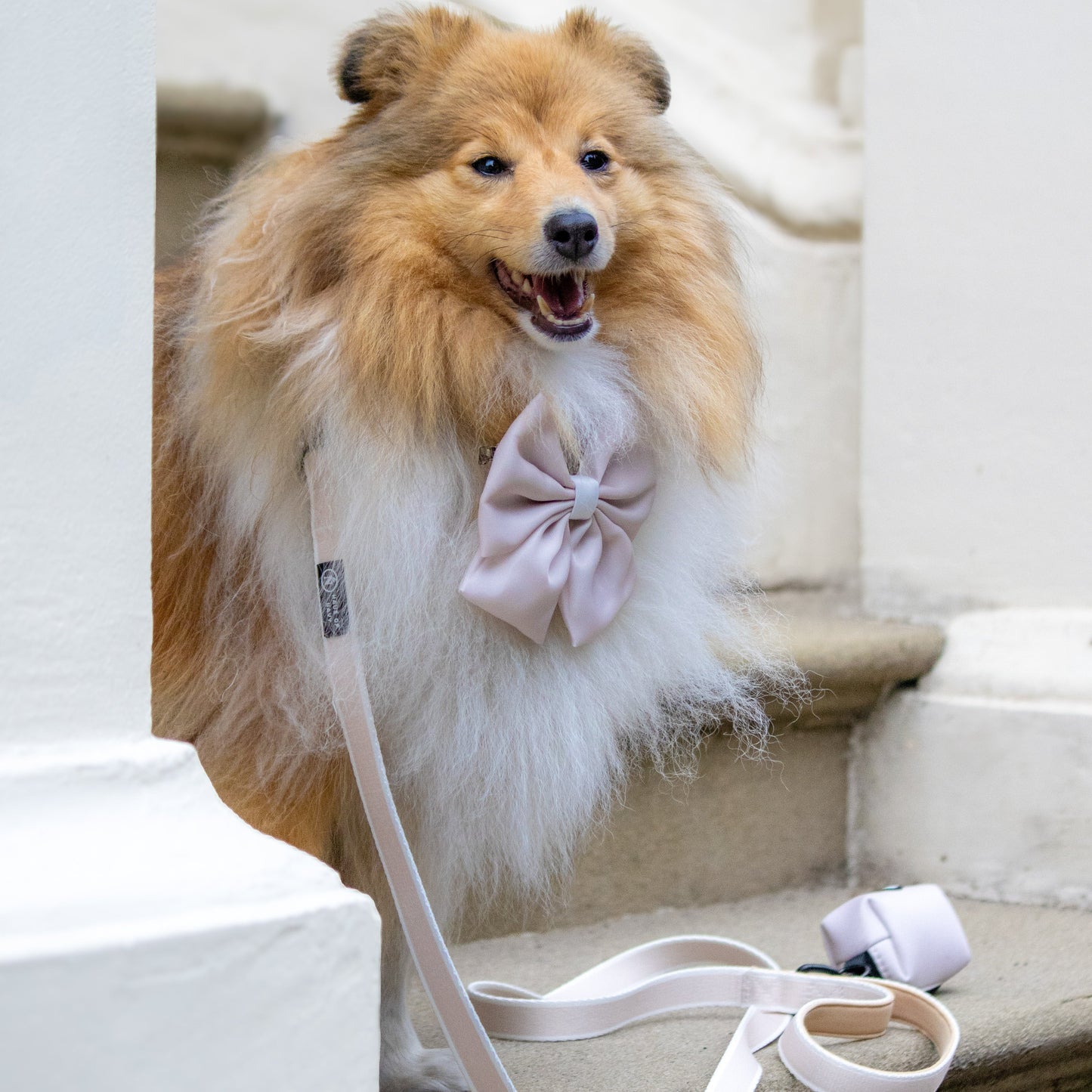 Poop Bag Holder - Chloé