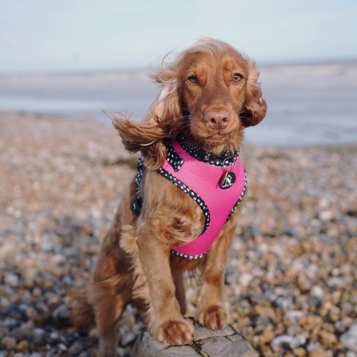 Adjustable Harness - Speckled Hot Pink