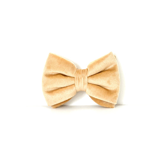Velvet Bow Tie - Champagne