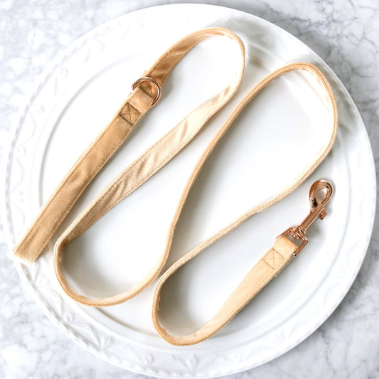 Velvet Leash - Champagne