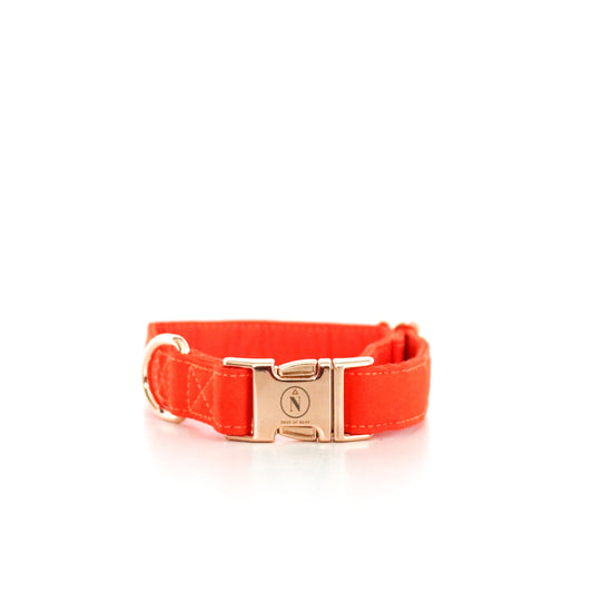 Cotton Collar - Classic Orange