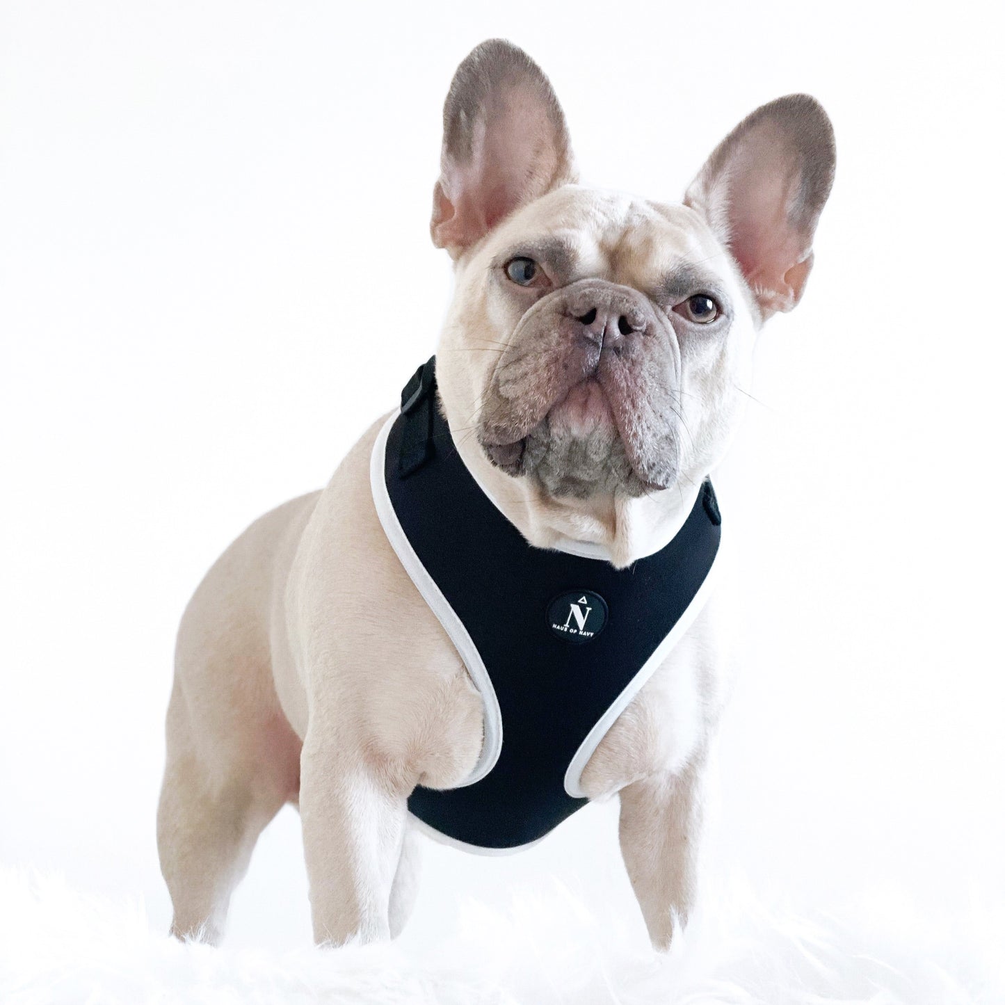 Adjustable Harness - Coco