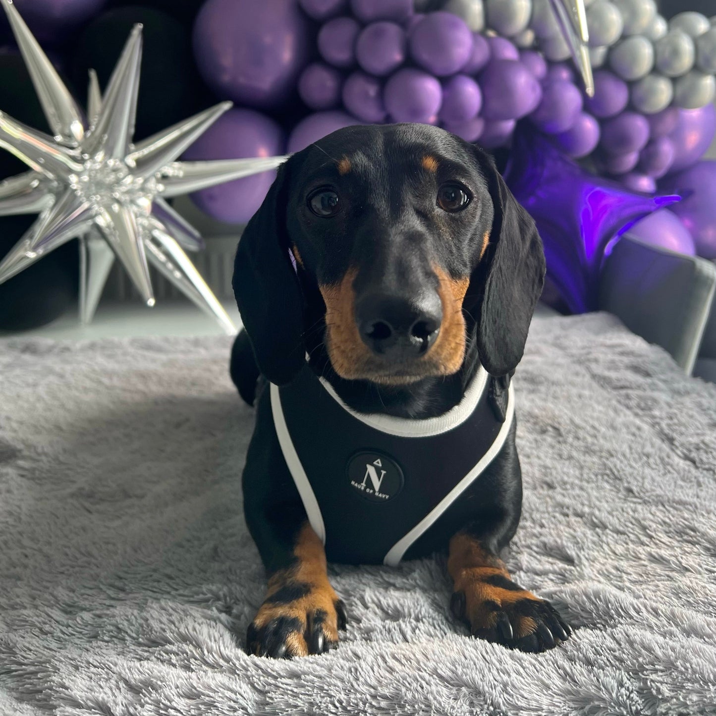 Adjustable Harness - Coco