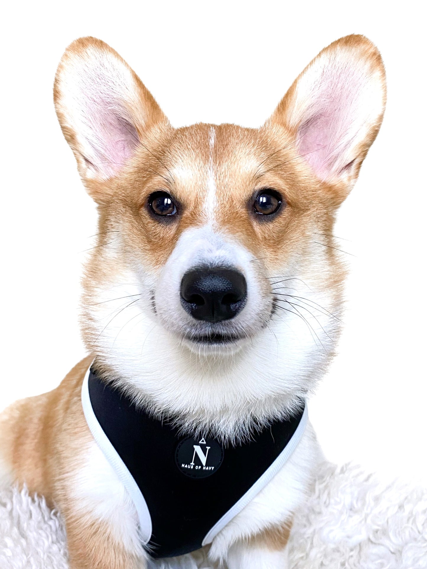 Adjustable Harness - Coco