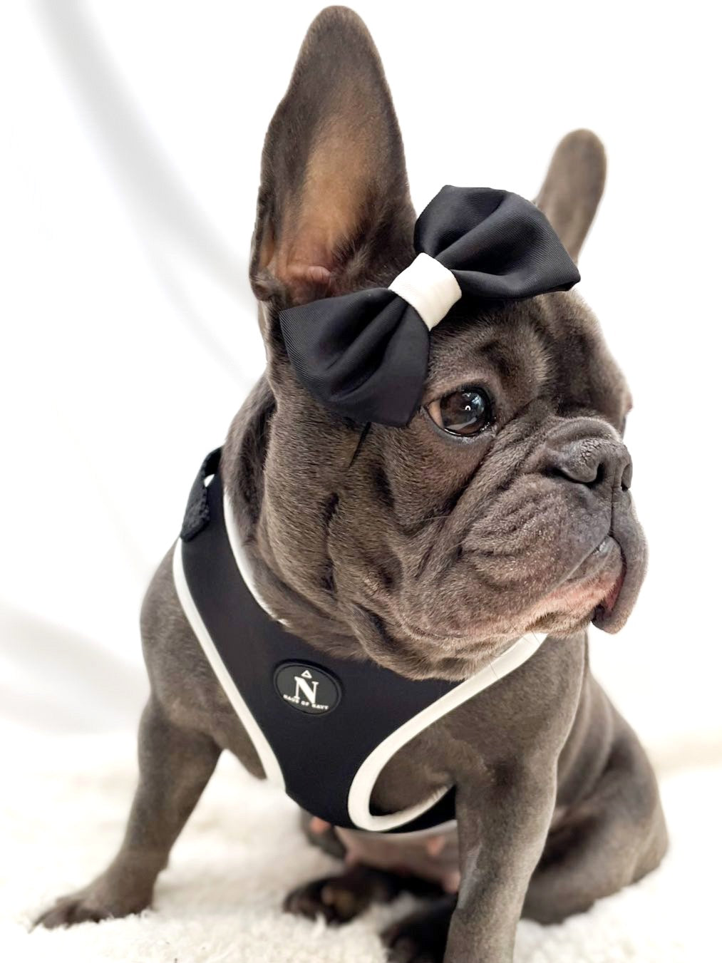 Adjustable Harness - Coco
