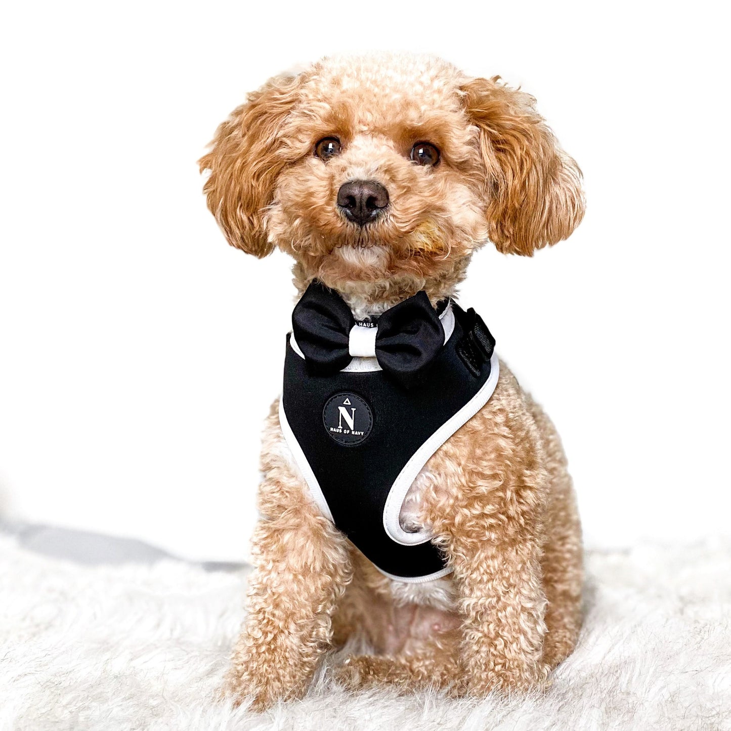 Adjustable Harness - Coco