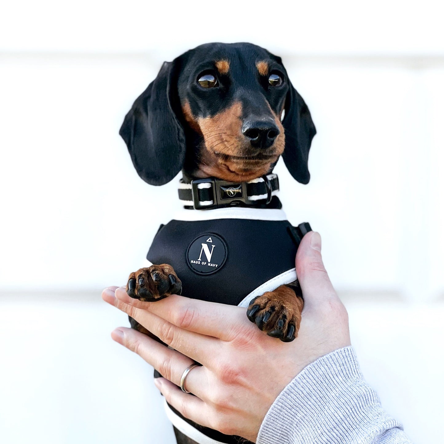Adjustable Harness - Coco