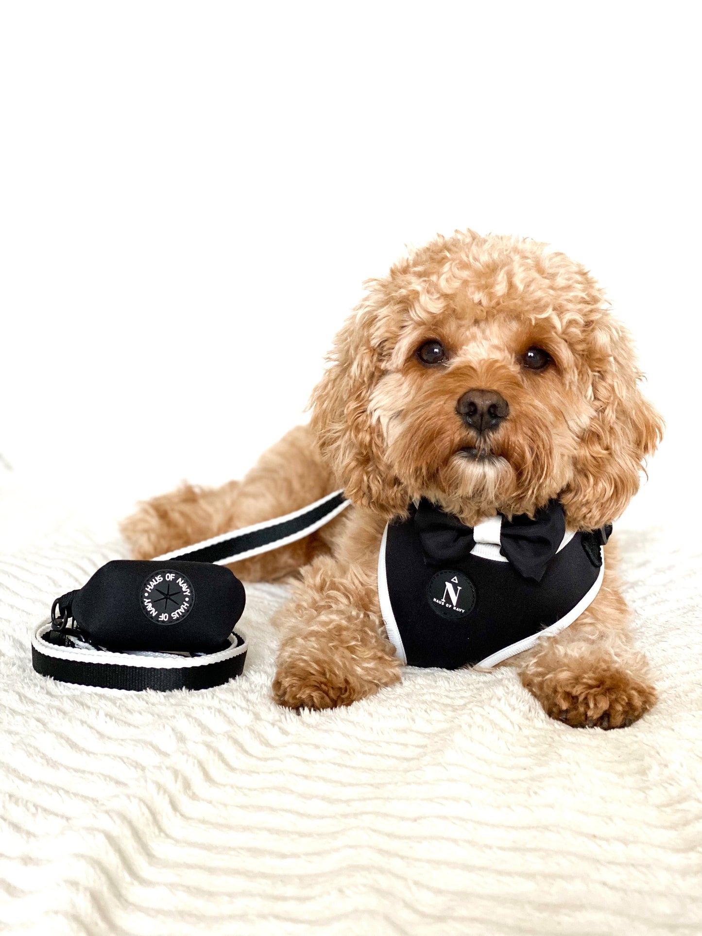 Adjustable Harness - Coco