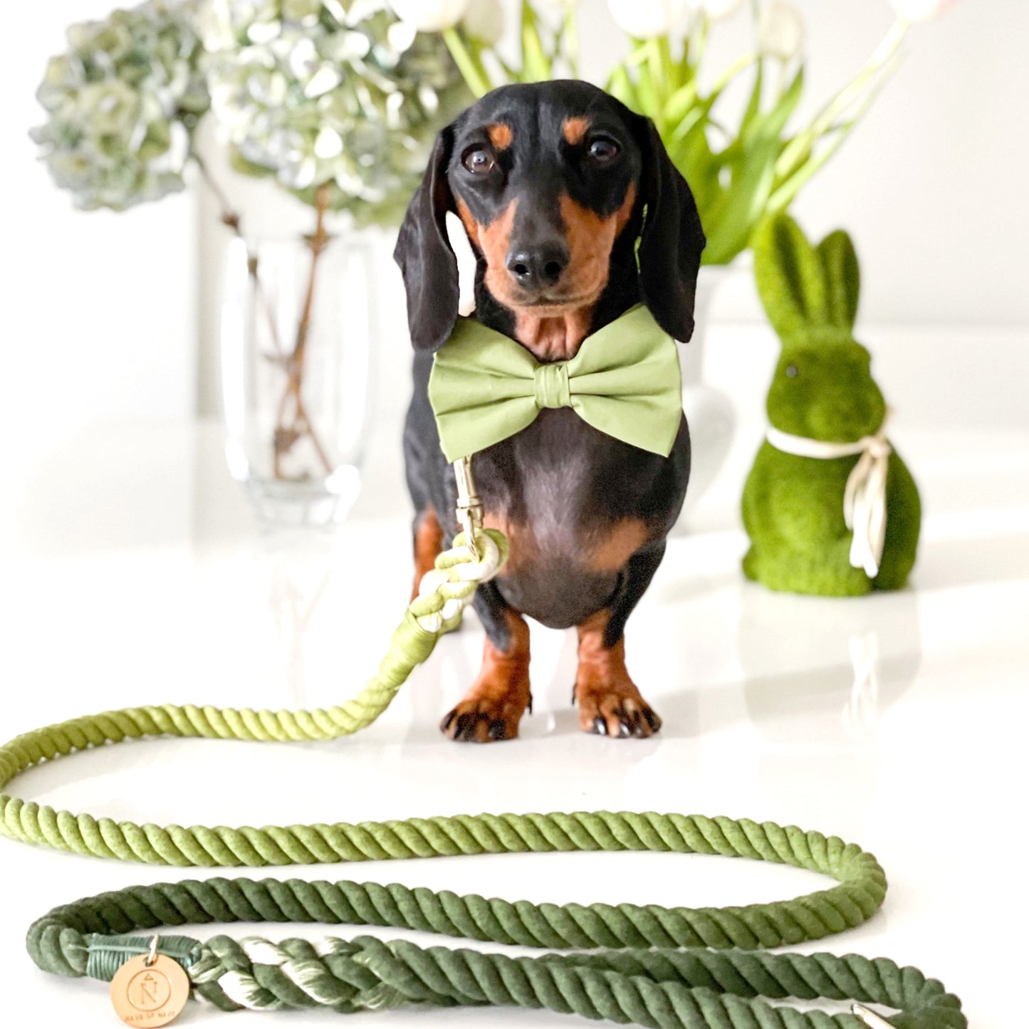 Rope Leash - Truly Navy