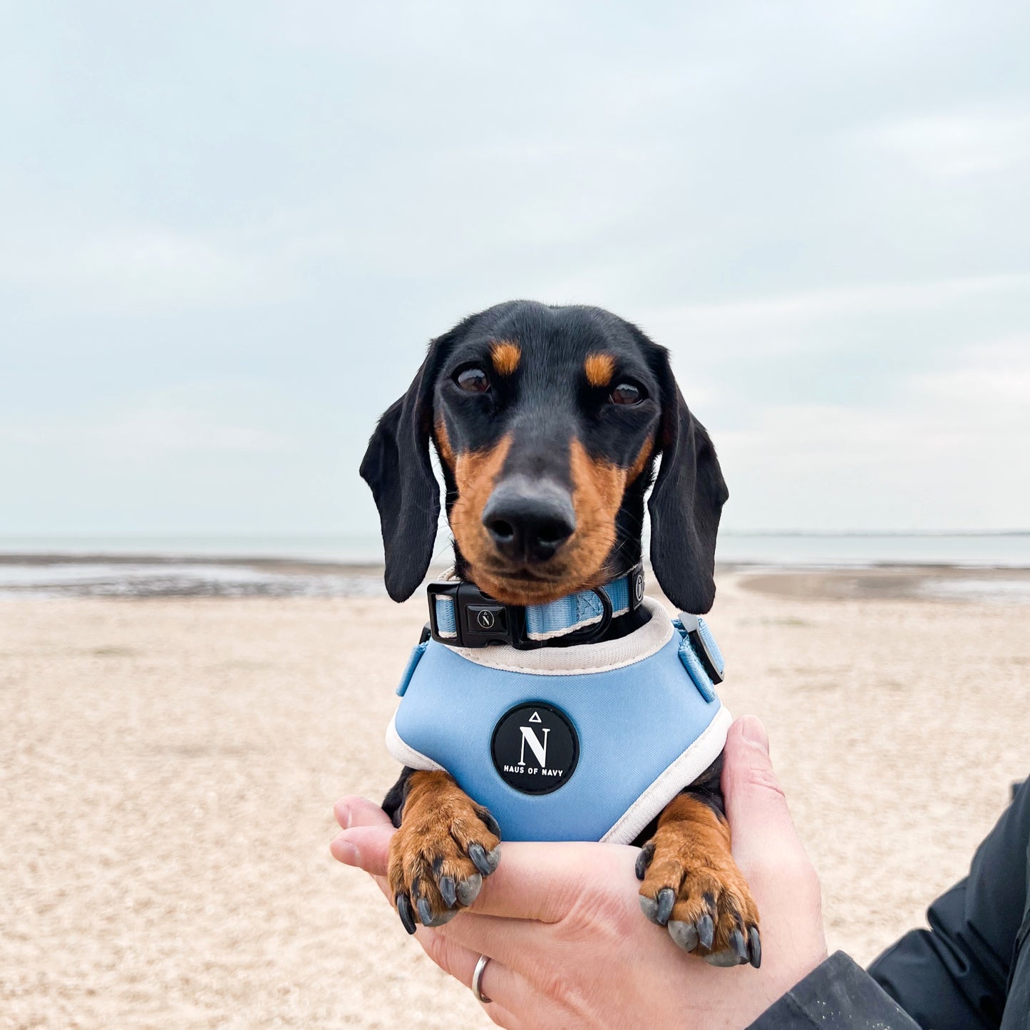 Adjustable Harness - Dolce