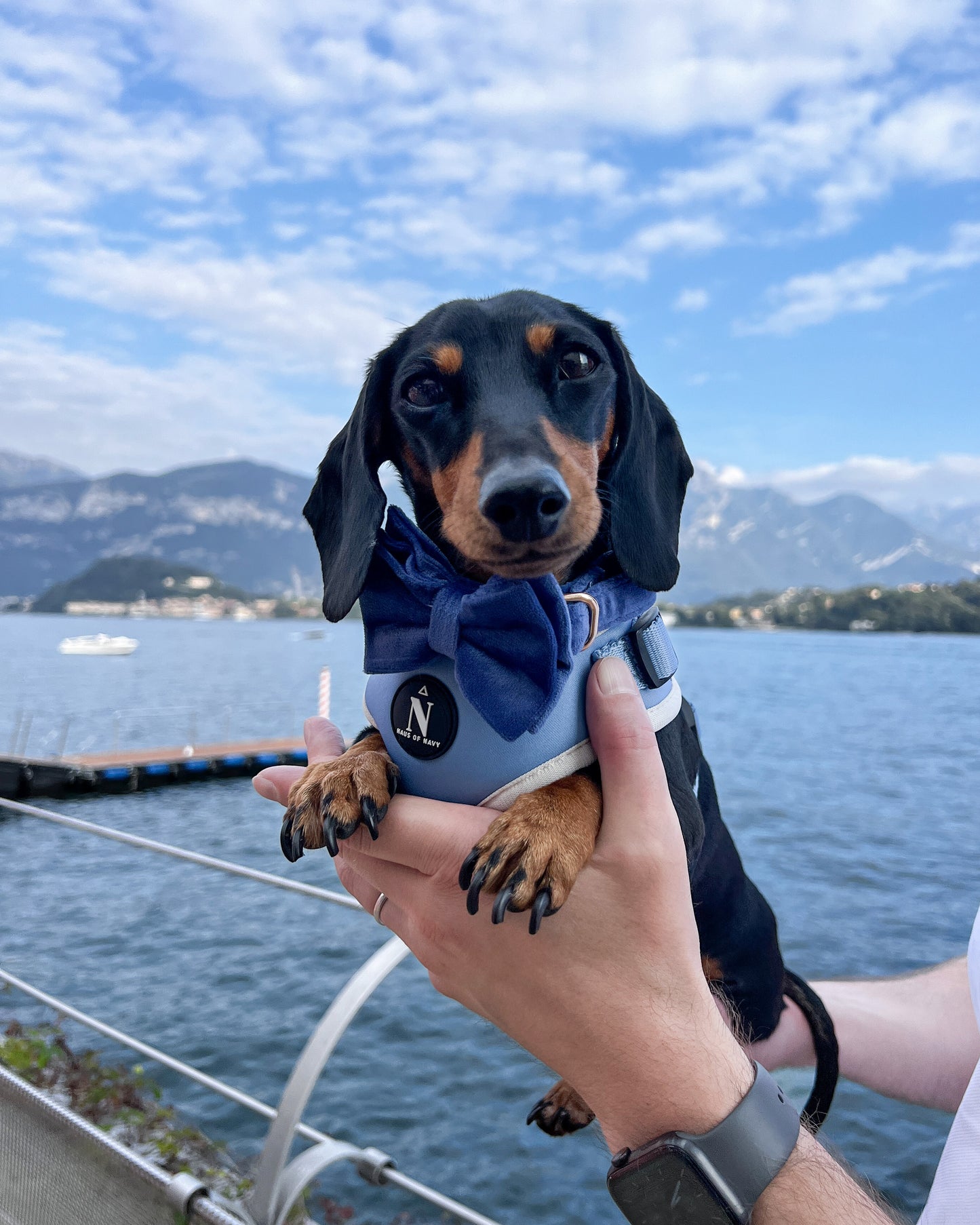 Adjustable Harness - Dolce