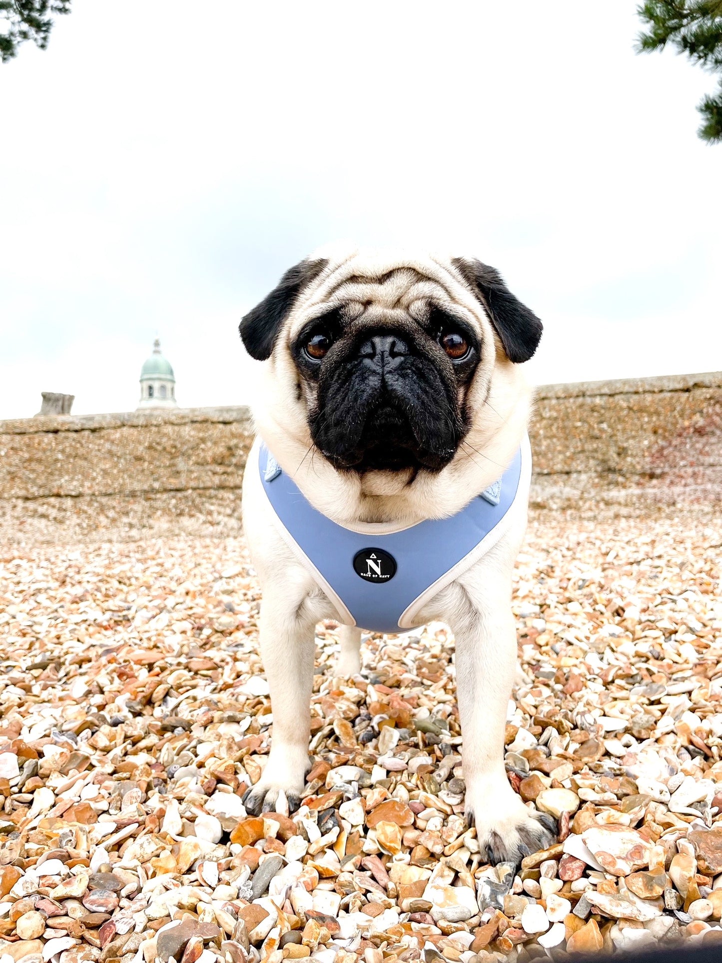 Adjustable Harness - Dolce