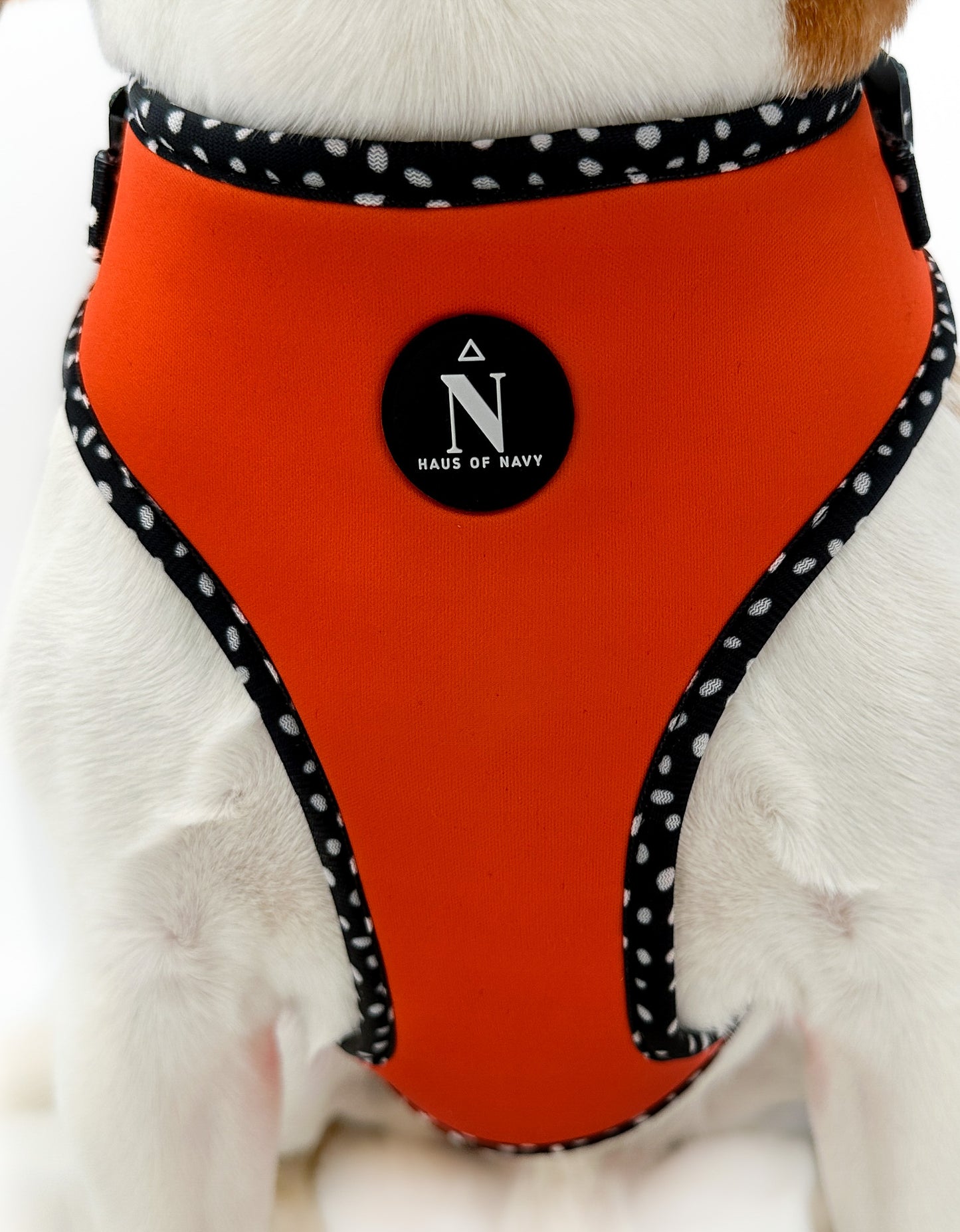 Adjustable Harness - Speckled Orange