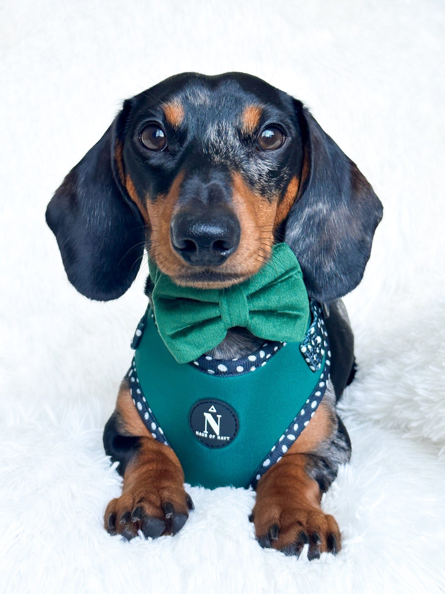 Velvet Bow Tie - Emerald