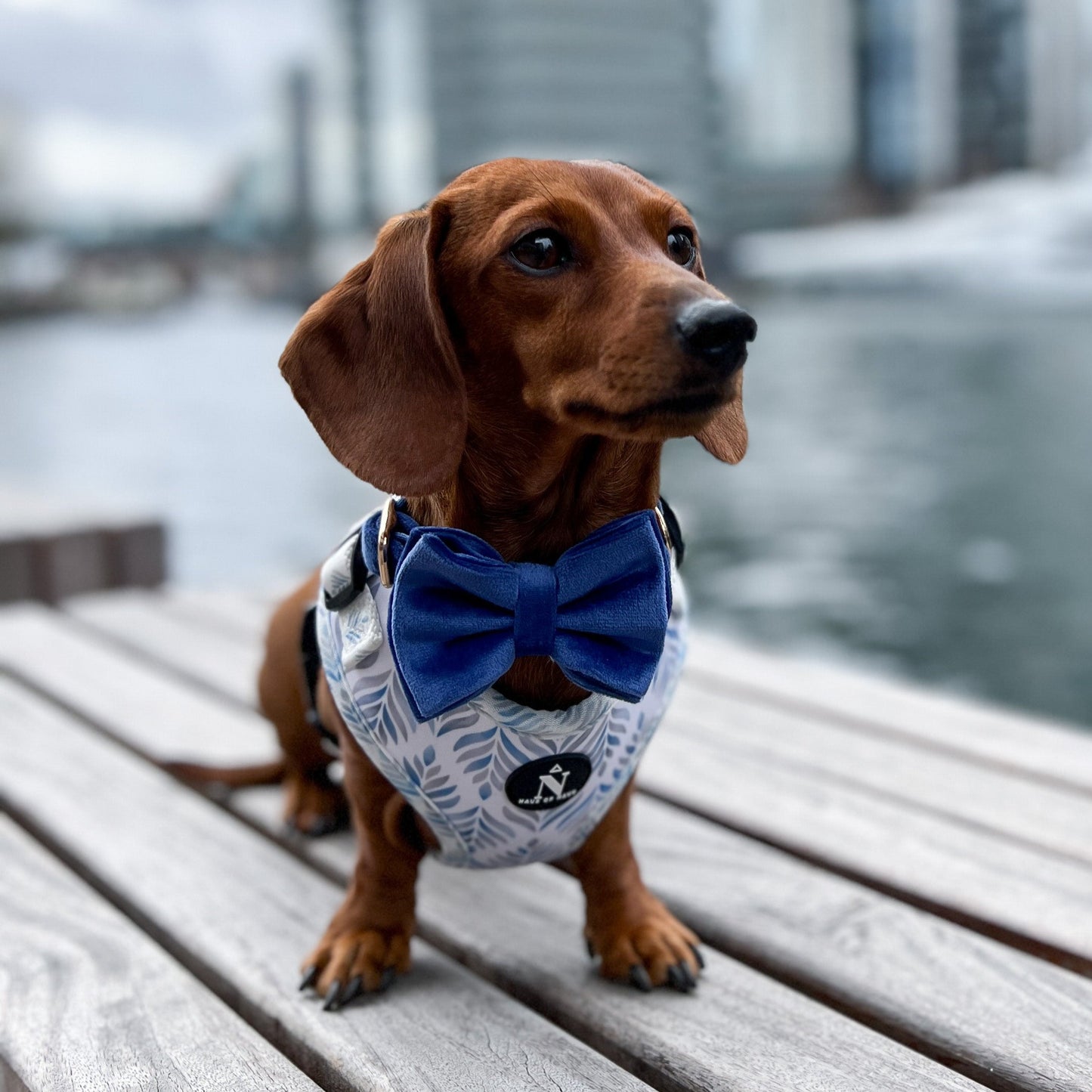 Velvet Bow Tie - Azure