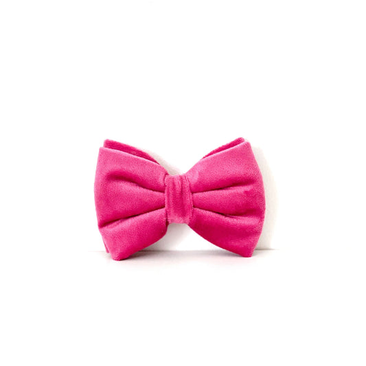 Velvet Bow Tie - Fuchsia Fusion