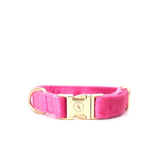 Velvet Collar - Fuchsia Fusion