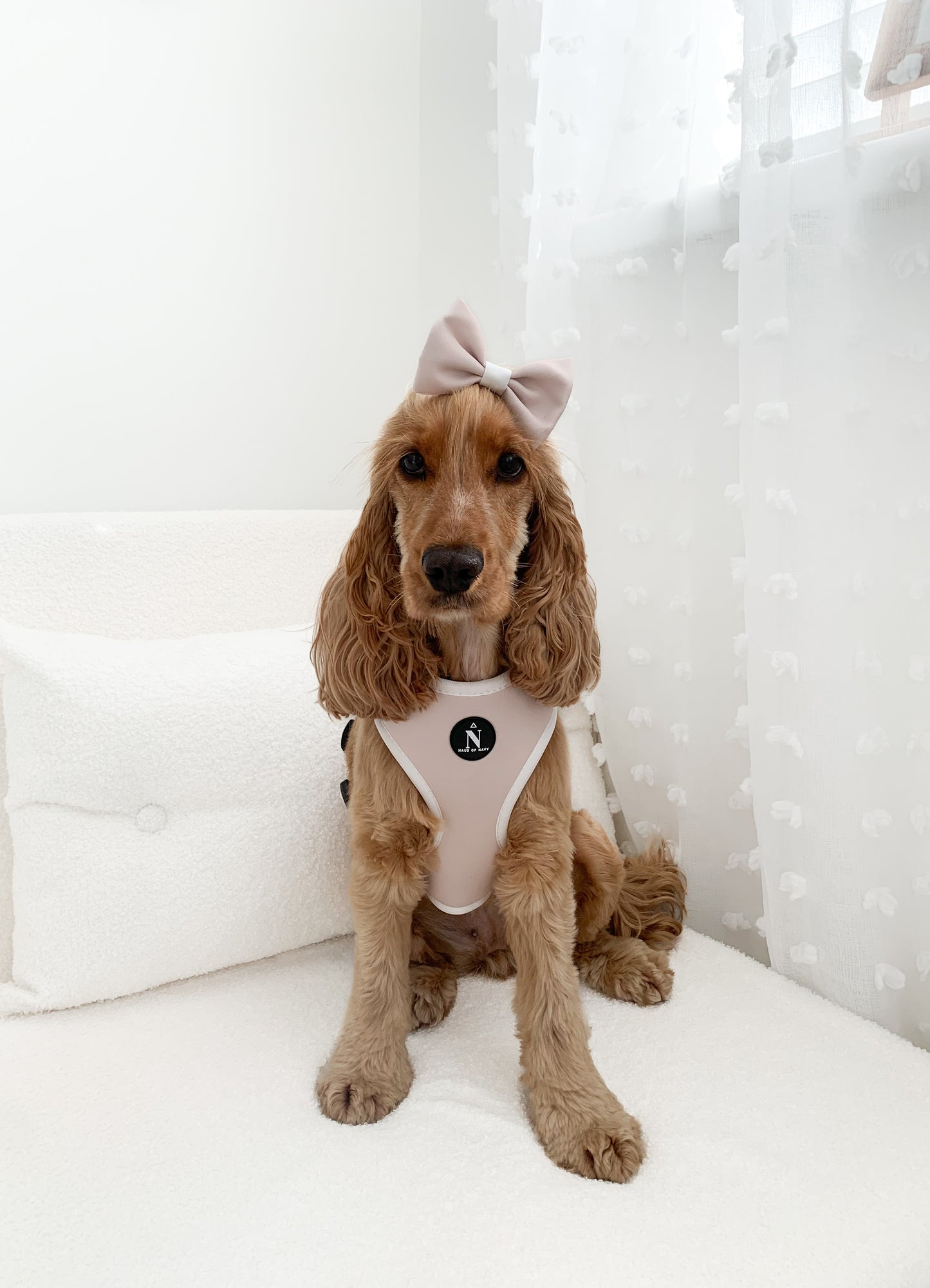Adjustable Harness - Chloé
