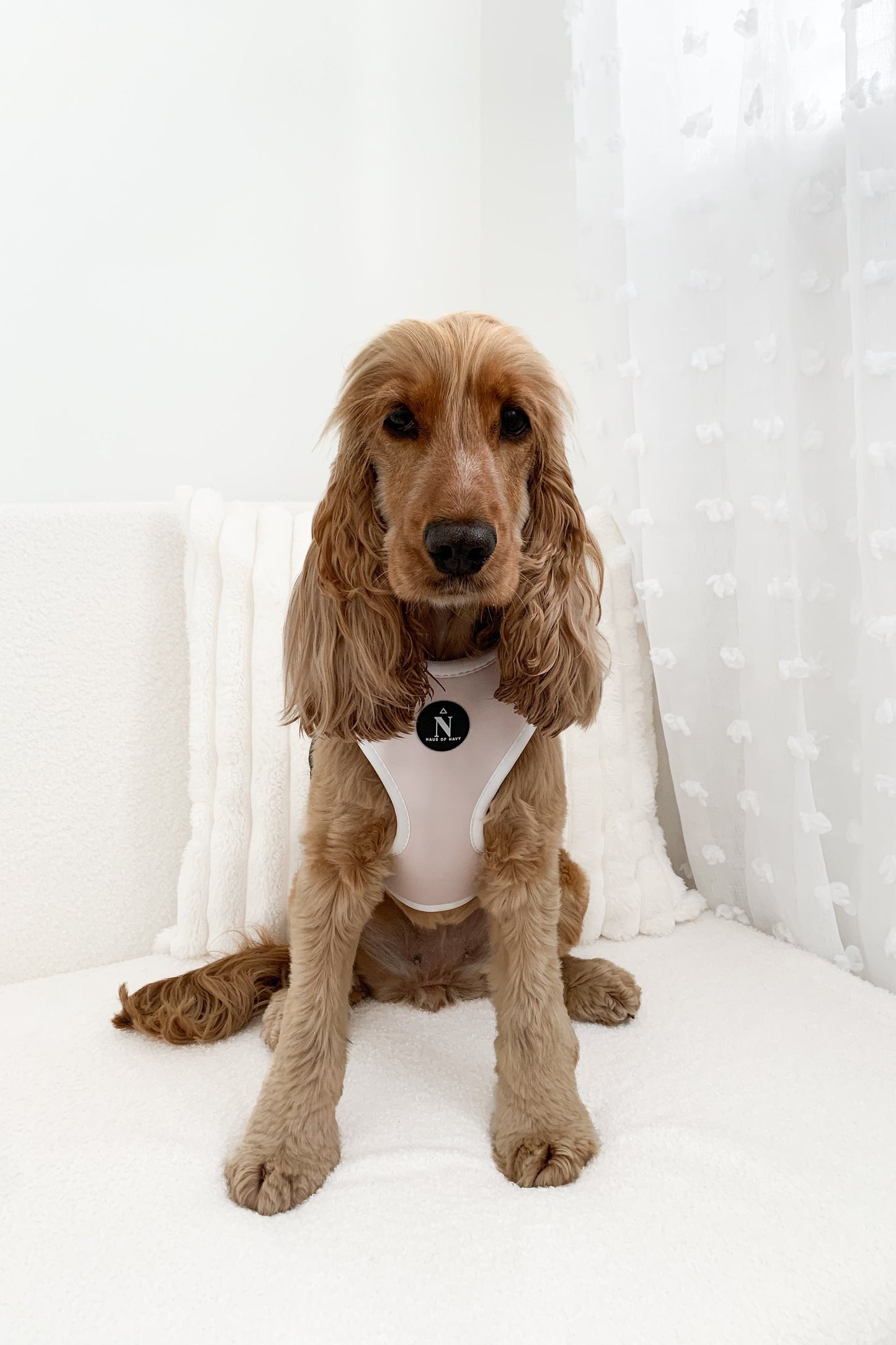 Adjustable Harness - Chloé