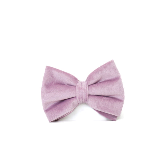 Velvet Bow Tie - I Lilac You