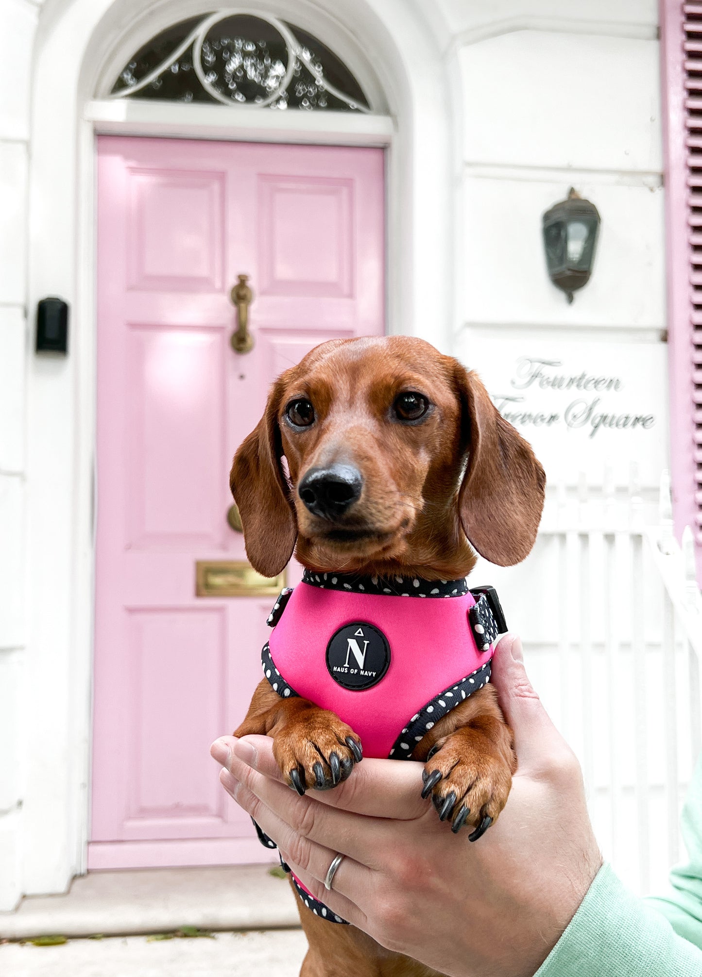 Adjustable Harness - Speckled Hot Pink