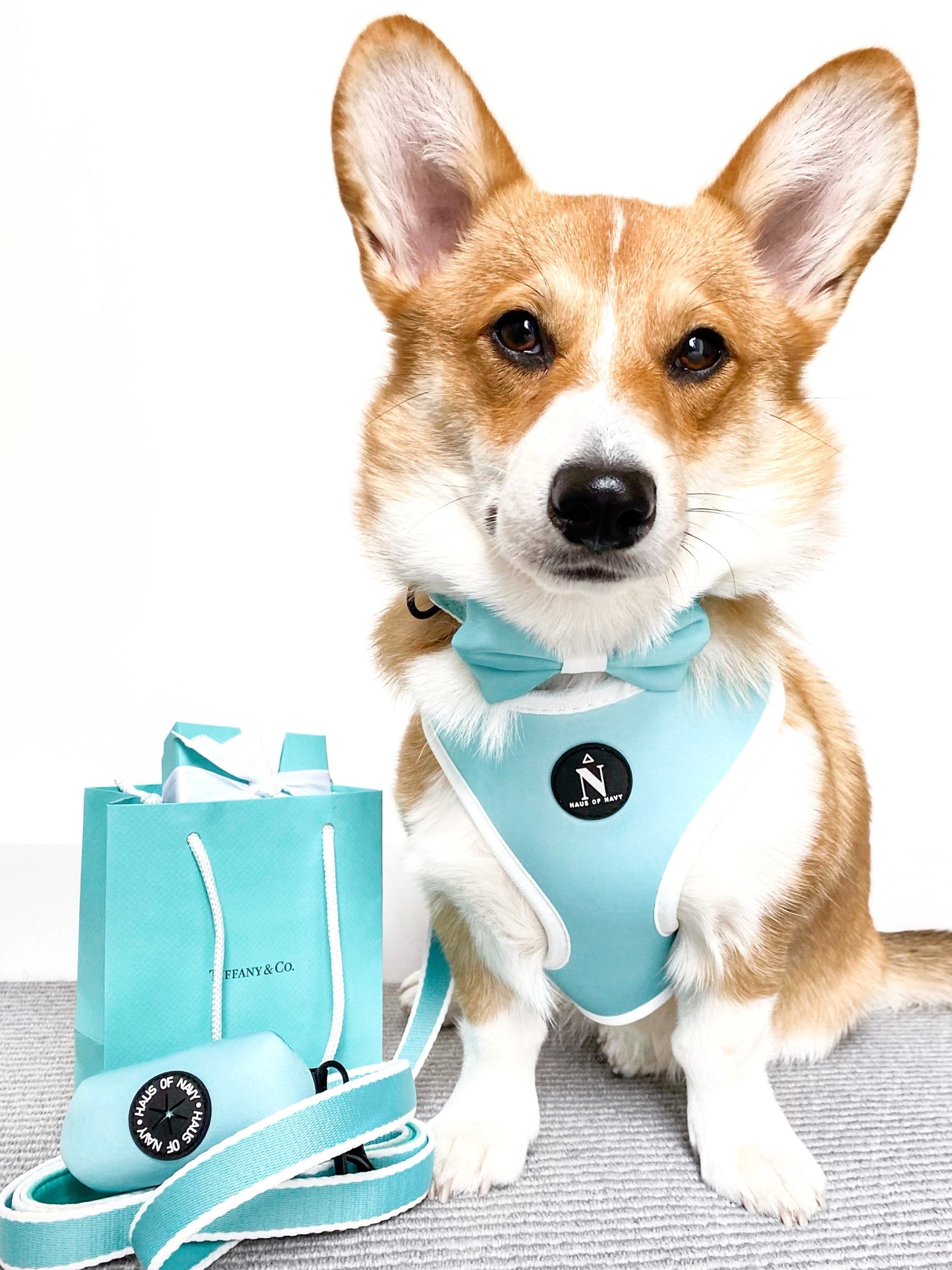 Leash - Tiffany