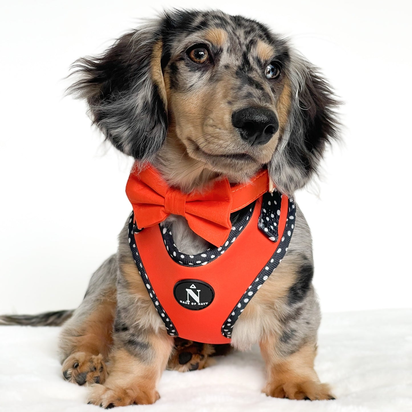Cotton Bow Tie - Classic Orange