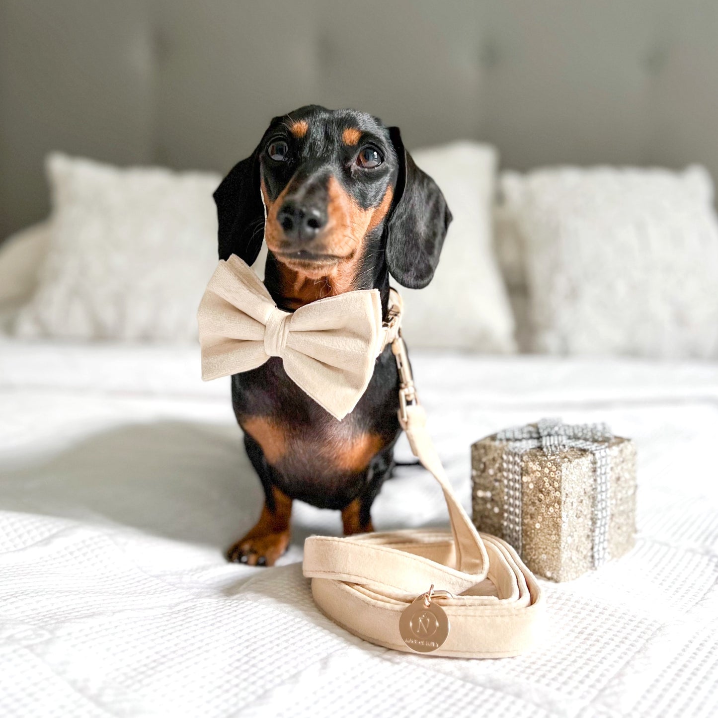 Velvet Bow Tie - Latte