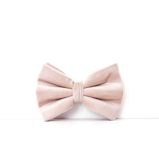 Velvet Bow Tie - Latte