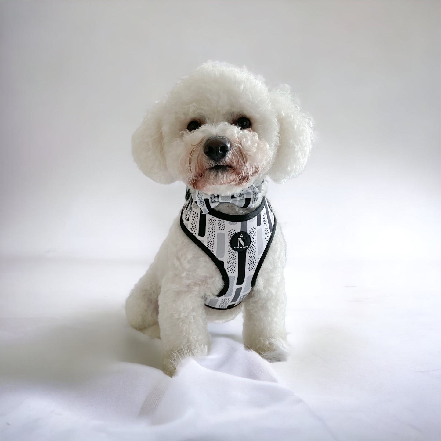 Adjustable Harness - The Modernist