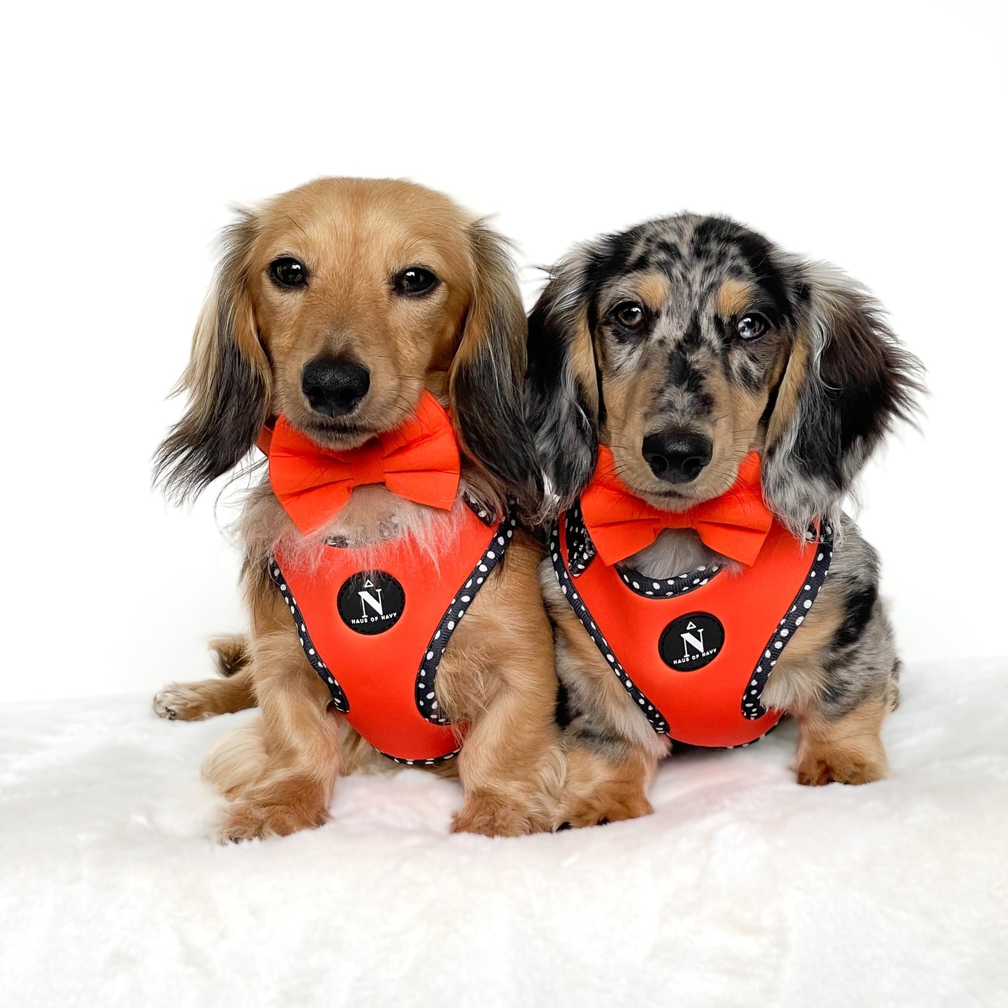 Cotton Bow Tie - Classic Orange