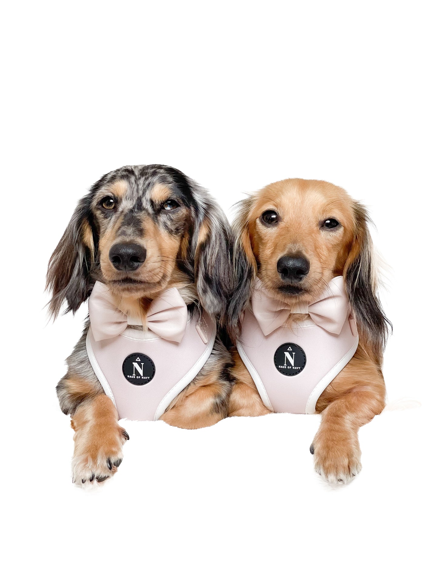 Adjustable Harness - Chloé