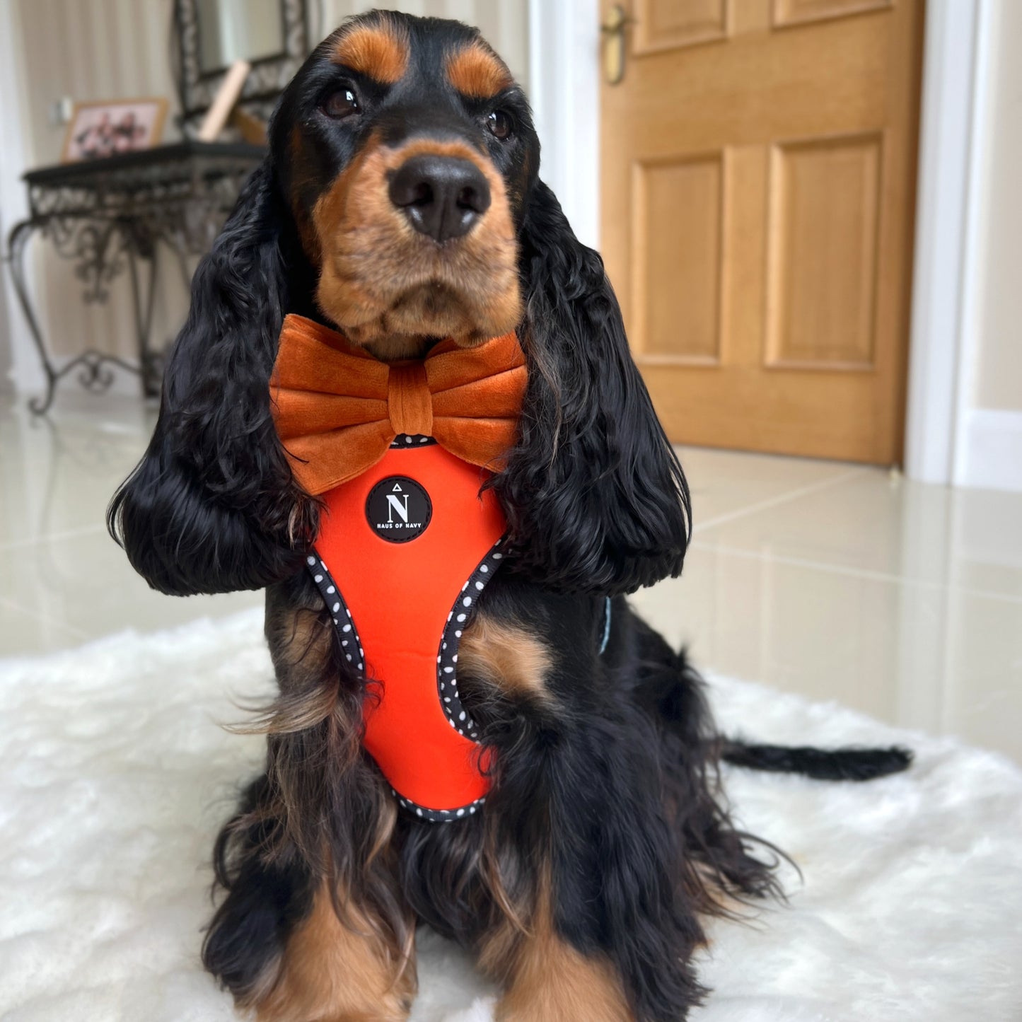 Adjustable Harness - Speckled Orange