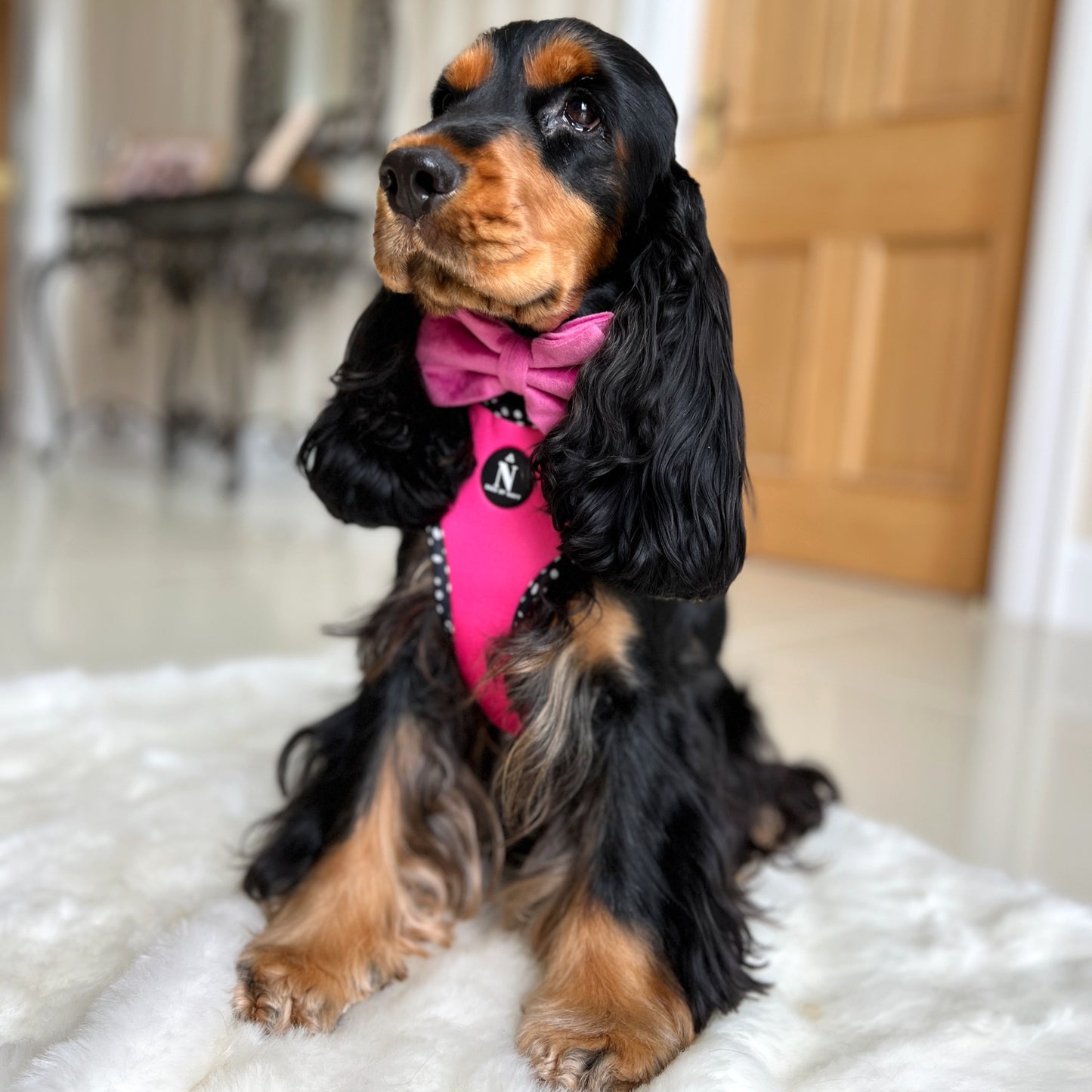 Velvet Bow Tie - Fuchsia Fusion