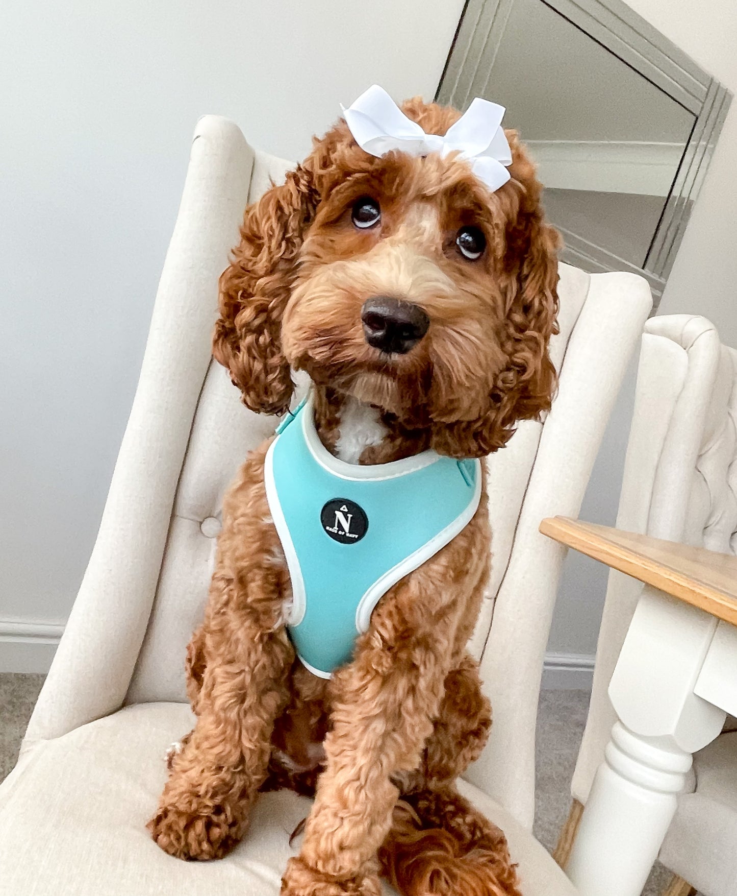 Adjustable Harness - Tiffany
