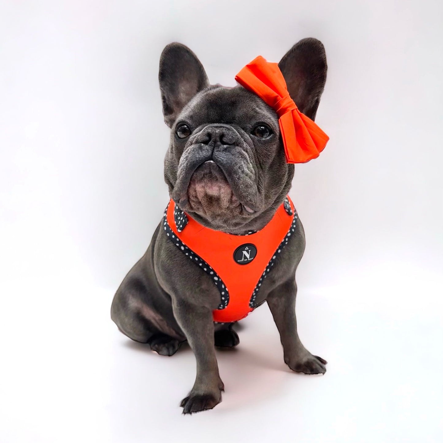 Adjustable Harness - Speckled Orange