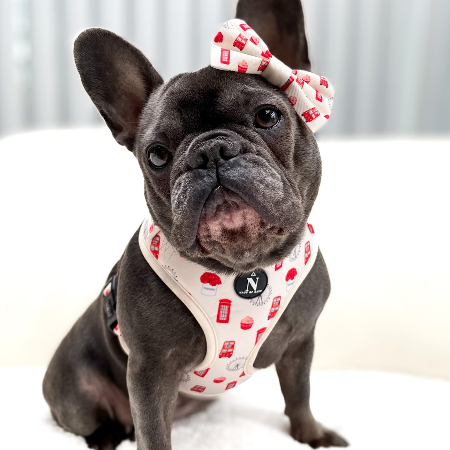 Bow Tie - The Londoner
